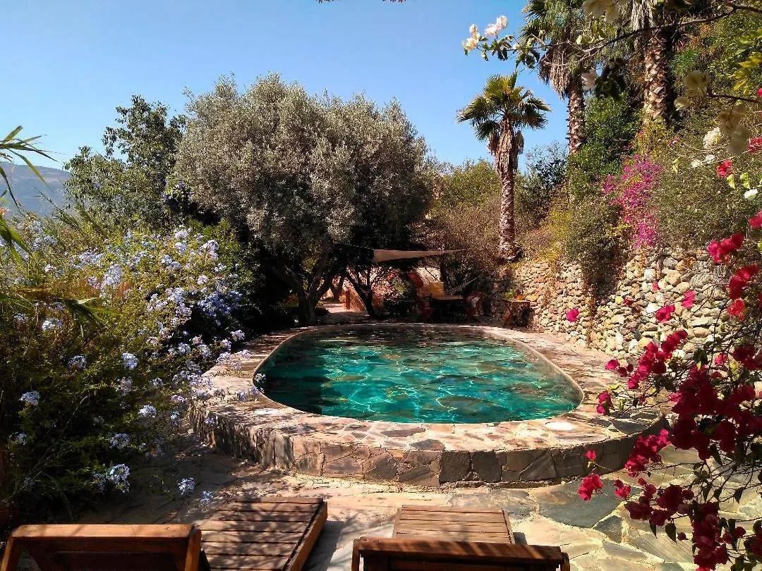 Holiday home Casa Champasak Villa Orgiva